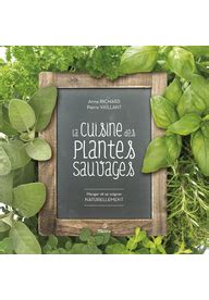En dernier, je vais vous présenter quelques exemples de plantes à faire sécher pour faire des infusions. La Cuisine des Plantes sauvages - Cuisine - Geste Editions - Editeur, diffuseur et distributeur ...