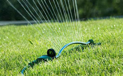 Lawn Watering And Irrigation A Beginners Guide