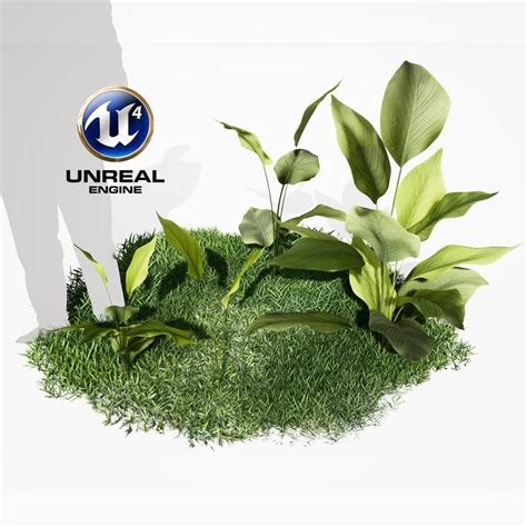 3d Model Realistic Plants 04 Ue4 Asset And Fbx Files Vr Ar Low
