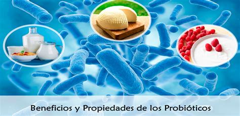 Beneficios Y Propiedades De Probioticos Láser Salud