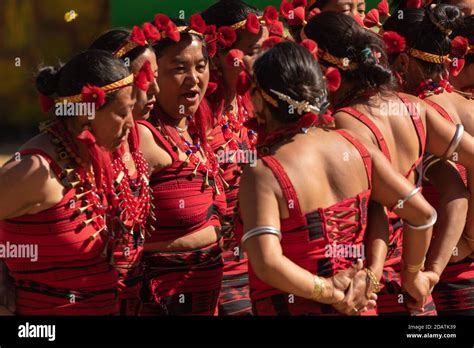 Traditional Naga Dance Being Performed By Womenfolk In Kisama Heritage Village In Nagaland India