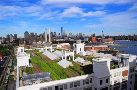 Green Roofs For Healthy Cities Brooklyn Green Rooftop Inhabitat