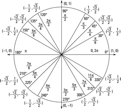 Unit Circle Math Reference