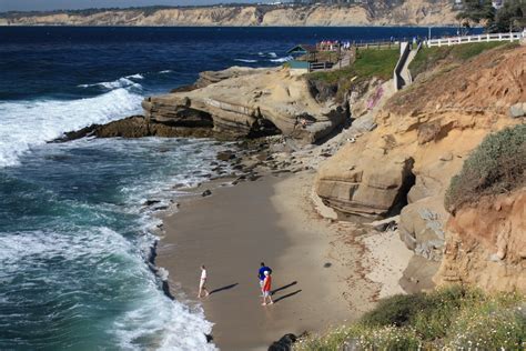 Shell Beach La Jolla Ca California Beaches