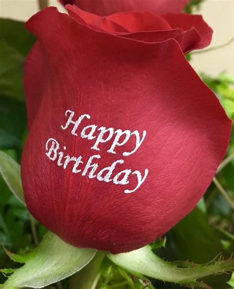Full 4k Collection Of Top 999 Beautiful Happy Birthday Roses Images