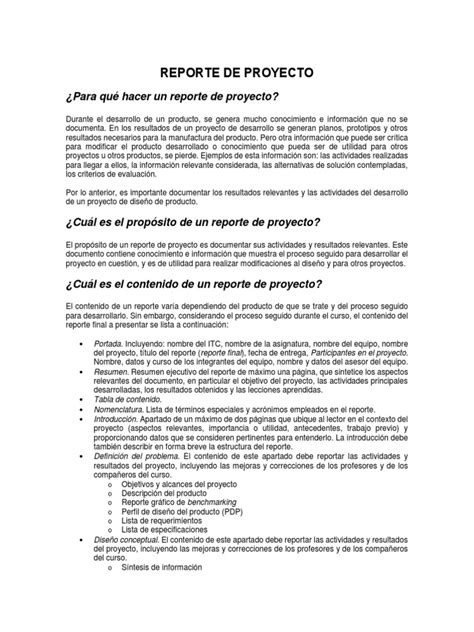 Reporte De Proyecto Pdf Diseño Producto Negocio