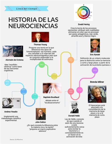 Historia De Las Neurociencias Historia De La Psicologia Linea Del