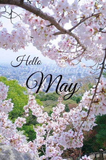 Hello May Wallpaper Iphone Kolpaper Awesome Free Hd Wallpapers