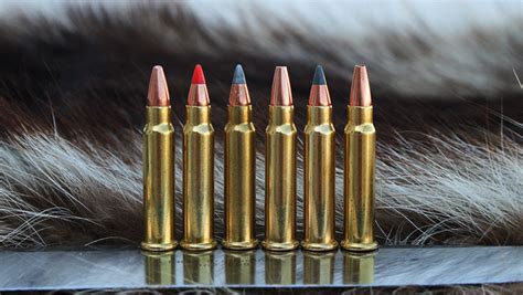 Top 6 17 Hmr Hunting Loads An Official Journal Of The Nra