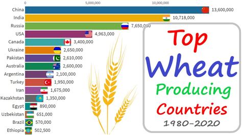Top Wheat Producing Countries 1980 2020 Best Vs Best Youtube