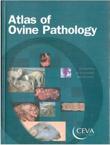 Atlas Of Ovine Pathology 1st Edition
