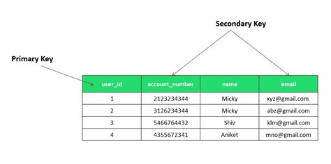 Difference Between Primary Key And Secondary Key Programmerbay