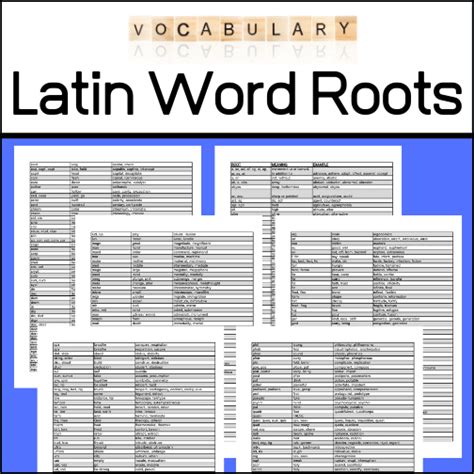 Latin Word Roots Reference My Teaching Library