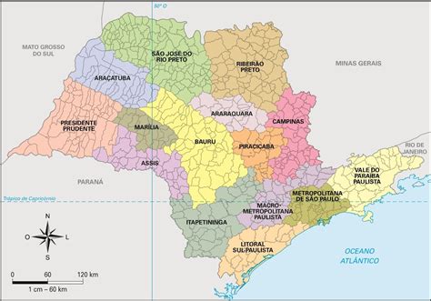 (2011) densidade populacional 55,8 hab./km² n.º de freguesias 7 presidente da câmara municipal adelaide teixeira (independente) fundação do município (ou foral) 1259 região (nuts ii. São Paulo - Conheça seu Estado (História e Geografia): 11 ...