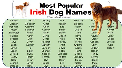 200 Famous Irish Dog Names Vocabulary Point