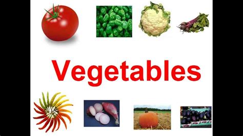 Verduras En Ingles Para NiÑos Youtube