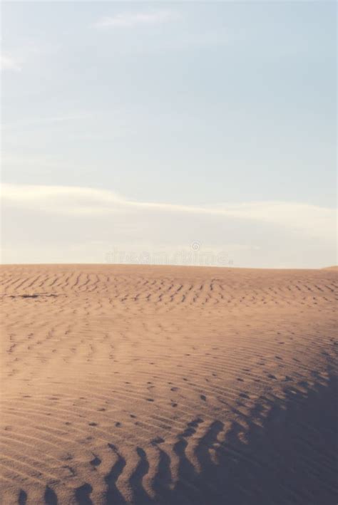 Sand Dunes And Ripples In The Desert On A Clear Sunny Day Stock Image