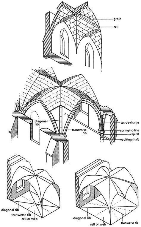 องค์ประกอบสถาปัตยกรรมกอธิคribbed Vaulting Architecture Drawing