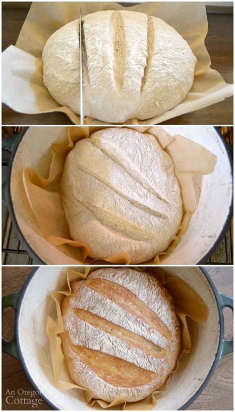 Although cast iron is ideal for a delicious sourdough bread, not. Easy Artisan Bread Recipe | An Oregon Cottage | Recipe ...