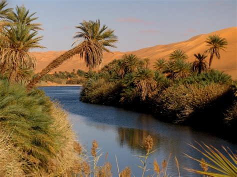 Oasis With Lake In The Libyan Desert Beautiful Places Best Places In