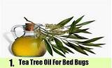Home Remedies Bugs Images