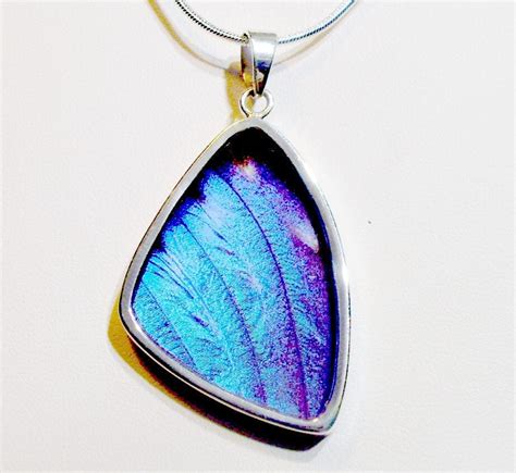 Real Butterfly Wing Jewelry Sterling Silver Pendant Necklace