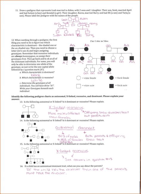 Pedigree Charts Worksheet With Answers