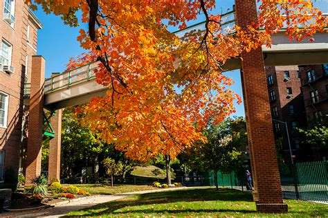 Book manhattan parking in advance with parkwhiz for convenient locations! Manhattan College - Parking Garage & Bridge, Riverdale, NY ...
