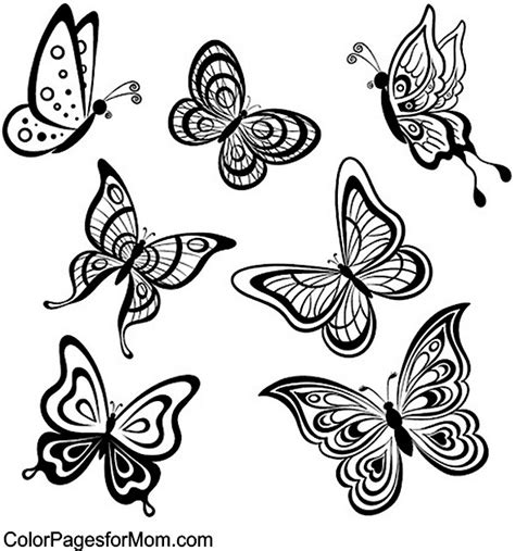 Butterfly Coloring Page 47
