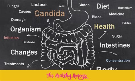 How To Kill Candida With Anti Candida Foods The Healthy Honeys