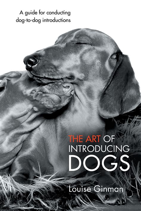 The Art Of Introducing Dogs Dogslife Dog Breeds Magazine