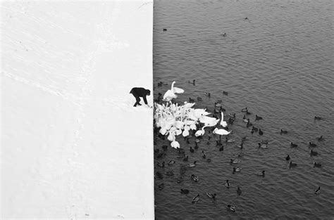 Black And White Photography 25 Brilliant Shots Designgraphercom