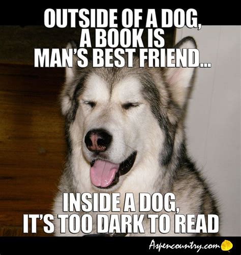 Dog Reading Memes Yahoo Image Search Results Dog Puns Dog Jokes