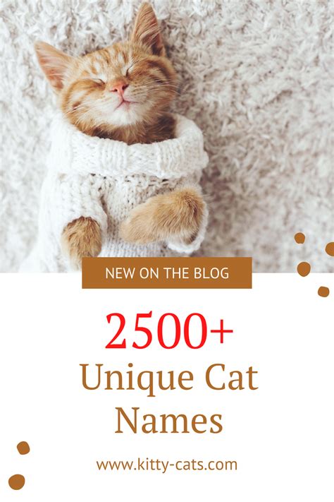 2500 Unique Cat Names For 2020 You Should Not Miss Unique Cat Names