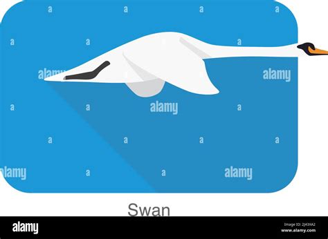 Mute Swan Flat Icon Design Cartoon Vector Illustration Stock Vector