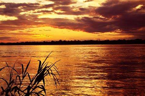 Amazon River Sunrise Sunset Times