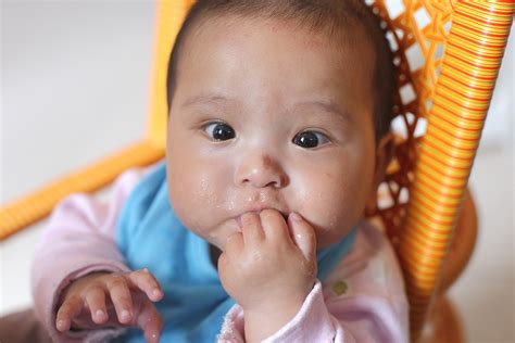 Kids love to cheese and recipes made out of them. Is Your Baby's First Finger Food Really Safe? - Parents ...