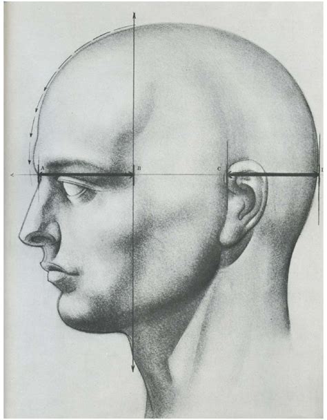 Burne Hogarth Drawingthehumanhead Drawing The Human Head Human
