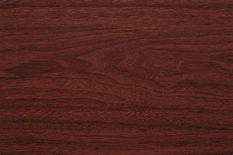 Wood Grain Pictures High Resolution Photo Hub