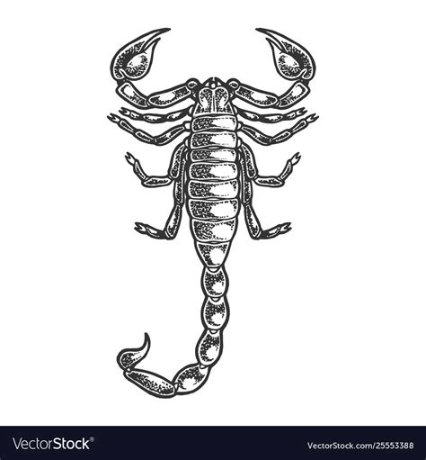 Scorpion Sketch Engraving Royalty Free Vector Image