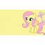 Pony Wallpapers  My Little Friendship Is Magic Wallpaper