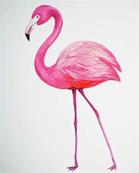 Flamingo Drawing Illustration Flamingo Drawings How To Draw Flamingo