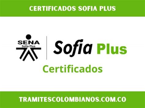 Sofia Plus Certificados Obtén Tus Diplomas Y Constancias En Línea 2024