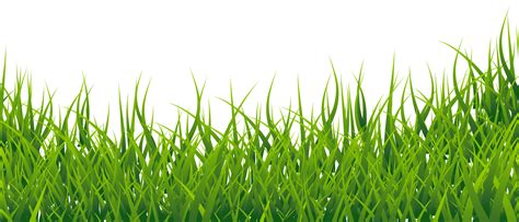 Collection Of Grass Hd Png Pluspng