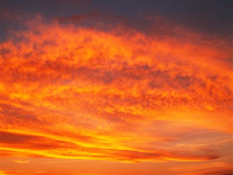 Orange Clouds Wallpaper · Free Stock Photo