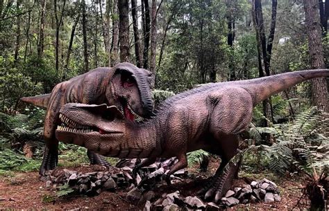 Actualizar Imagem Parque Dos Dinossauros Pre O Br Thptnganamst Edu Vn