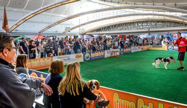 The pittsburgh pet expo is the largest consumer pet trade show on the east coast! Pittsburgh Pet Expo!