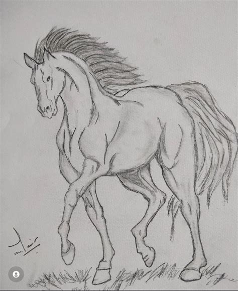 Pencil Sketch Of Horse By Adnan Amir Horse Pencil Drawing Pencil