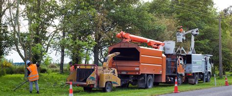 Does Tree Removal Increase My Property Value?