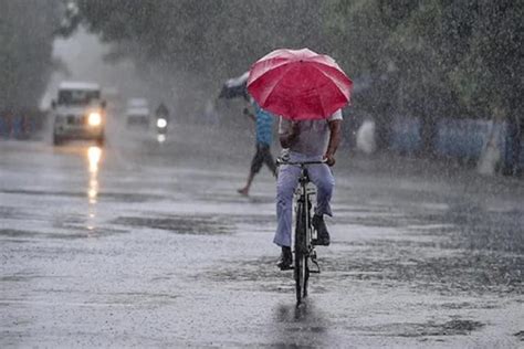 India Receives 37 Excess Rainfall So Far This Monsoon Season Says Imd